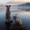 郑其煜 profil fotoğrafı