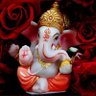 Sacchi Baat No Bakwas 的头像