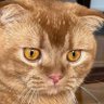 Profilbild von cathy