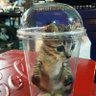 sobatbakso's profile picture