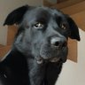 Lucam profil fotoğrafı