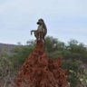 norongwe-namatsai profil fotoğrafı
