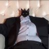 average твиттер enjoyer 的头像