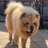 Ivana Markovic's profile picture