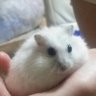 なべさん's profile picture