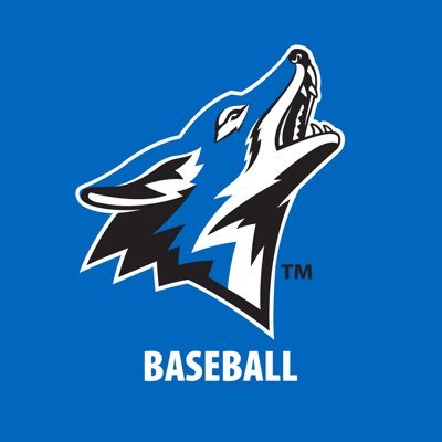 CSUSB_Baseball's profile picture
