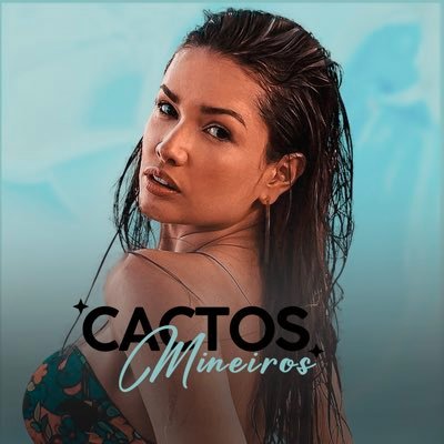 Cactos Mineiros🔺's profile picture
