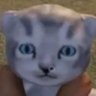 Profilbild von nie wiem o co chodzi