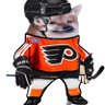 Flyers Fella's profile picture