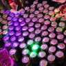 随心所欲 的头像