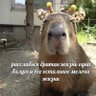 Ioo profil fotoğrafı
