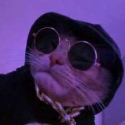 5h55555's profile picture