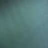 alpha beta gama delta's profile picture