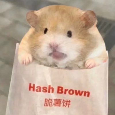 useethistime's profile picture