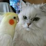 とみ姉 的头像