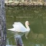 Фото профиля あーるてぃい