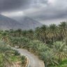 عاشق الصحراء 的头像