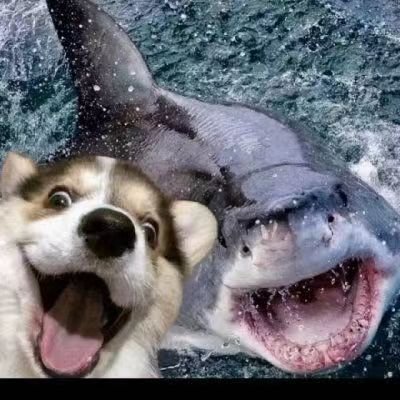 Laughing笑哥's profile picture