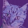 Profilbild von You were saying?
