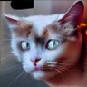 Badada Bloom profil fotoğrafı