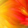 Profilbild von Colorful rdm
