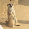 わみ profil fotoğrafı