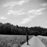 Profilbild von hikingStranger
