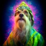Nostradogmus's profile picture