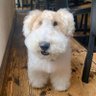 Profilbild von 犬畜生