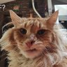__Ur__ profil fotoğrafı
