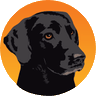 black dog's profile picture