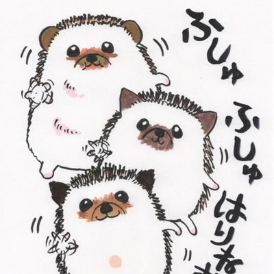 小谷家の日常's profile picture