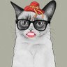 Roxanitum's profile picture