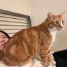 Profilbild von kat