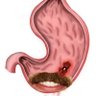 fav's Magenbruch's profile picture