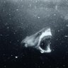 Фото профиля justin buettner
