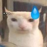 Profilbild von K