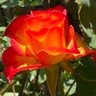 Фото профиля Nat