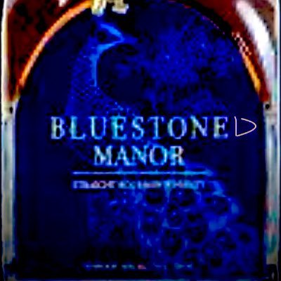 Blue Stoned Manor's profile picture