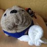 ぼーちゃん 的头像