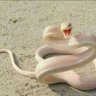 Profilbild von نضال العذاري