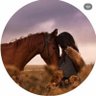 يناير🏹 profil fotoğrafı