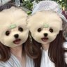 𝒩𝒪𝒩 ʚ♡ɞ 的头像