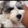 もっちゃん🎤次の12.1までに当てたい‼️ profil fotoğrafı