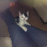 Candyw's profile picture