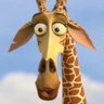 Melman's profile picture