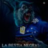 Apogeu 🦊's profile picture