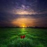 مينه ناک ځوان profil fotoğrafı