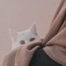 رؤيا 的头像