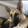 Sarah profil fotoğrafı